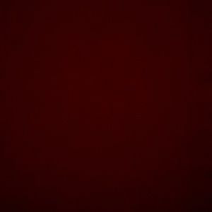 Meet your Posher, Dinisha